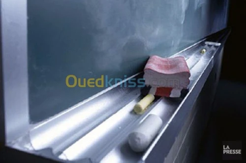 enseignement 