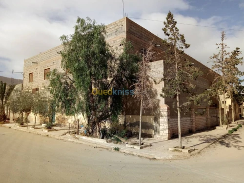 Vente Villa Msila Ouled sidi brahim
