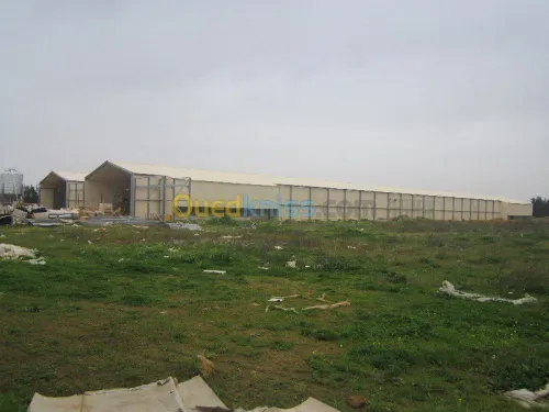 charpente métallique 