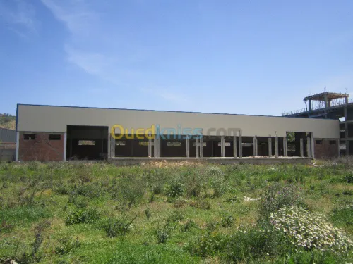 charpente métallique 