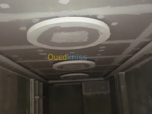 placoplatre algerie, faux plafonds