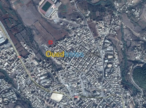 Vente Terrain Tlemcen Nedroma