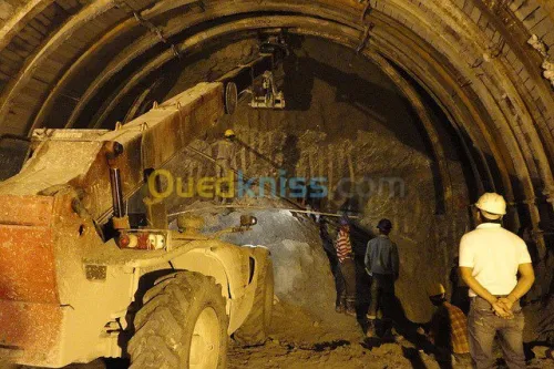 location  chariot élévateur ( téléscop