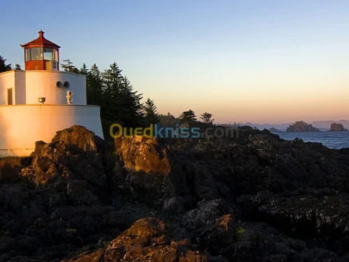 taxi frode,location de voiture,lvrsent