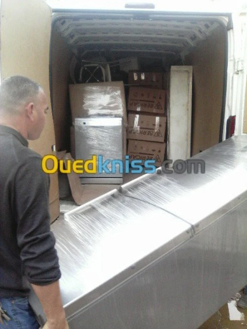 DEMENAGEMENT /MANUTENTION/ TRANSPORT