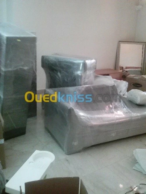 DEMENAGEMENT /MANUTENTION/ TRANSPORT