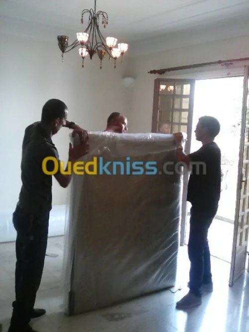 DEMENAGEMENT /MANUTENTION/ TRANSPORT