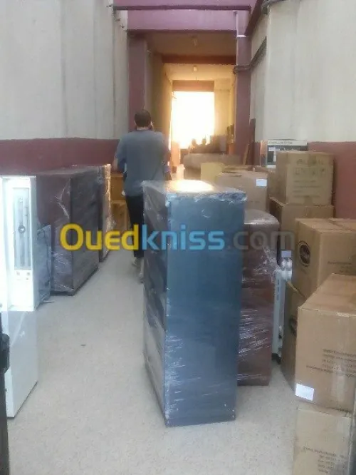 DEMENAGEMENT /MANUTENTION/ TRANSPORT