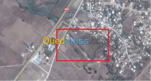 Vente Terrain El taref Ain el assel