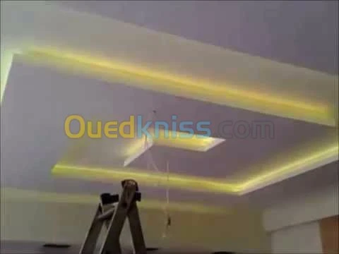 Faux plafonds Placoplatre PVC démontable décoration et simple avec électricité et peinture