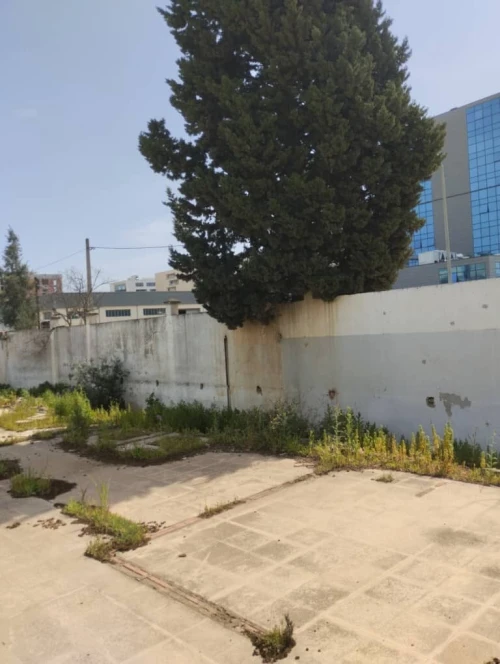 Vente Terrain Alger Bab ezzouar