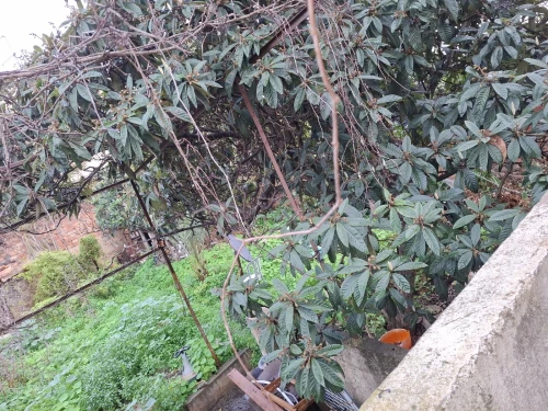 Vente Villa Alger Bir mourad rais