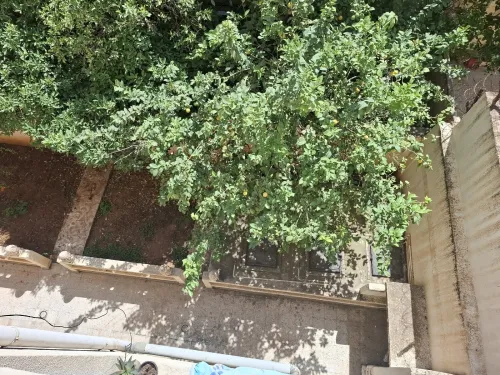 Vente Villa Alger Dar el beida