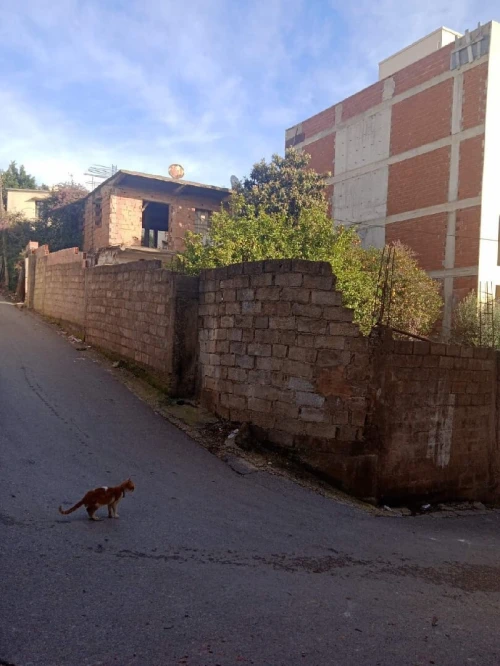 Vente Terrain Alger Bouzareah