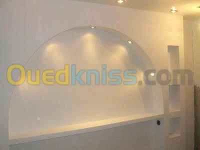 plaque de platre & faux plafond
