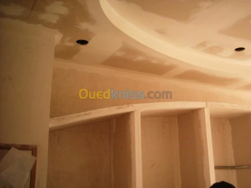 plaque de platre & faux plafond