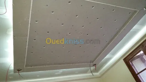 decoration placo platre et electrecite