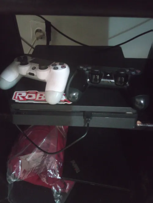ps4 flashė