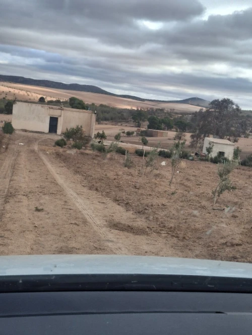 Vente Terrain Agricole Sidi Bel Abbès Belarbi