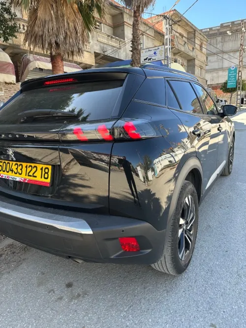 Peugeot 2008 2022 Erg