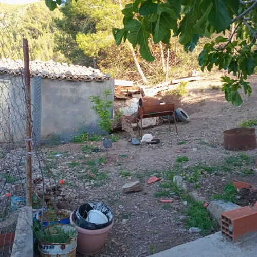 Vente Villa Sétif Guenzet