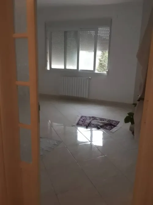 Vente Appartement F3 Alger Mahelma