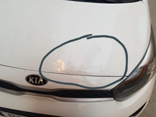 Kia Picanto 2019 LX Start