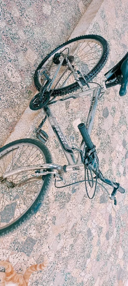 Mtb ham Gw mont 