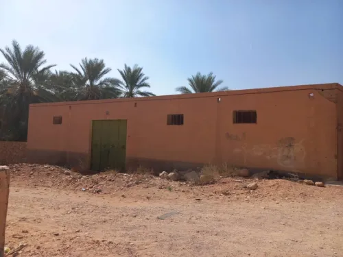 Location Local Ghardaïa Metlilli