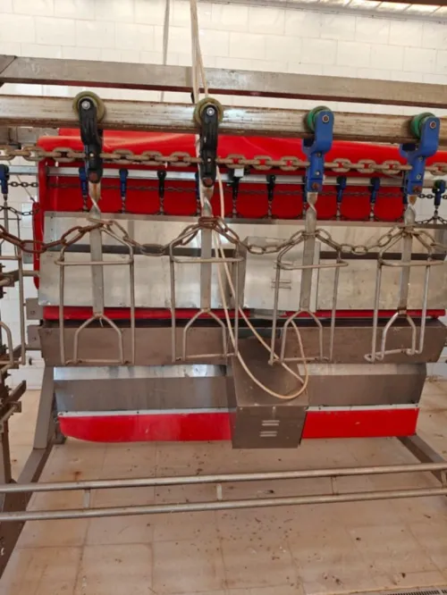battoir de poulets 