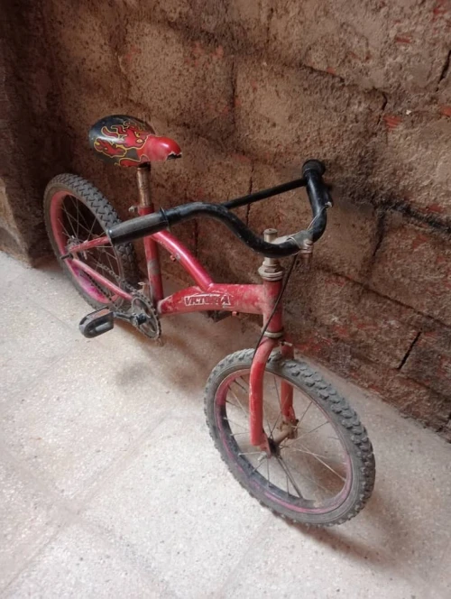 VELO 16