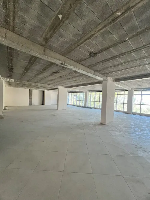 Location Local Alger Cheraga