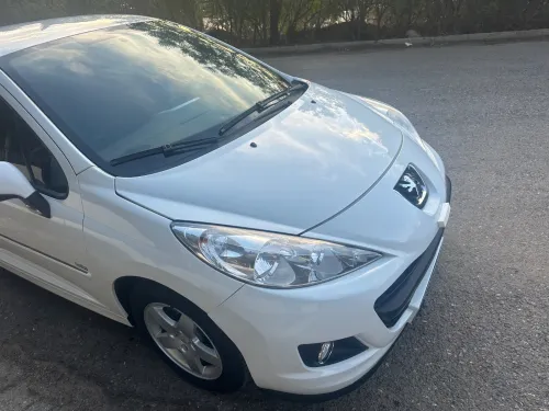 Peugeot 207 2012 Fennec
