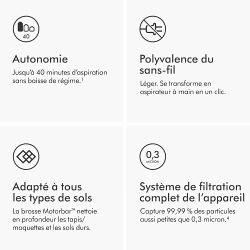 Aspirateur Balai Dyson V8 Advanced