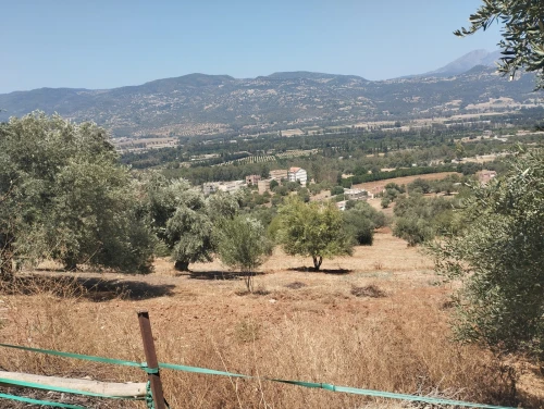 Vente Terrain Béjaïa Timezrit