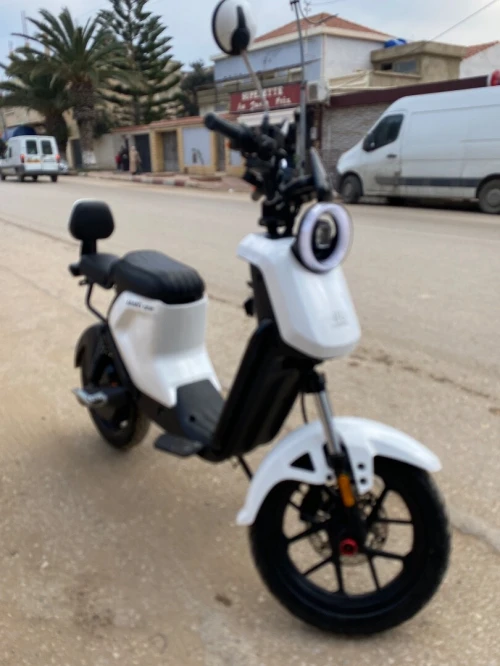 NUI SCOOTER Mimo one 2025