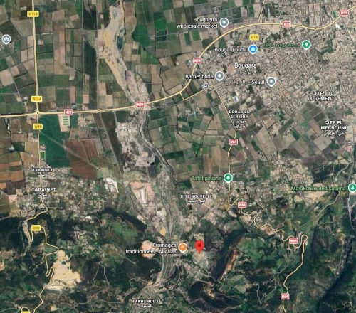 Vente Terrain Blida Hammam melouane