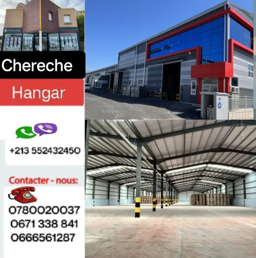 Cherche achat Terrain Boumerdès Hammedi