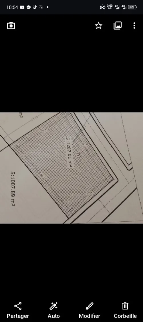 Vente Terrain Tlemcen Tlemcen