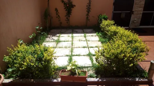 Location Appartement Duplex F4 Alger Mohammadia