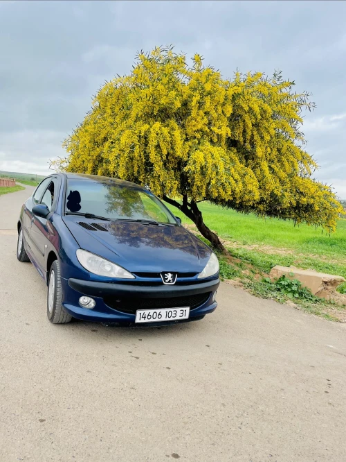 Peugeot 206 2003 206