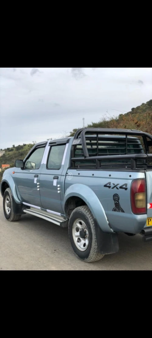 Nissan Pickup 2010 Pickup