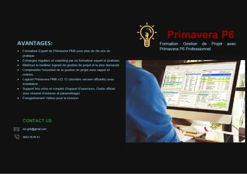 Gestion Projet avec Primavera PM6