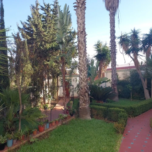 Location Villa Alger Kouba