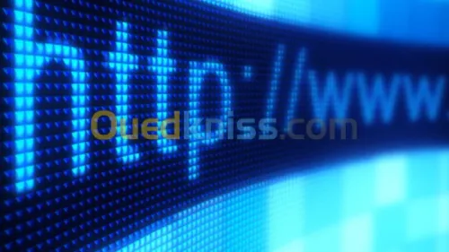 [Domain Name] RSELLI .COM
