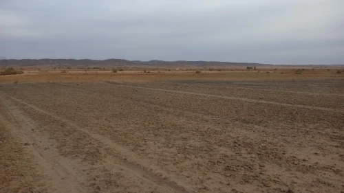 Vente Terrain Agricole Djelfa Ain maabed