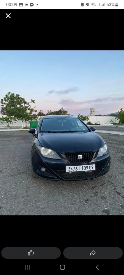 Seat Ibiza 2009 Loca