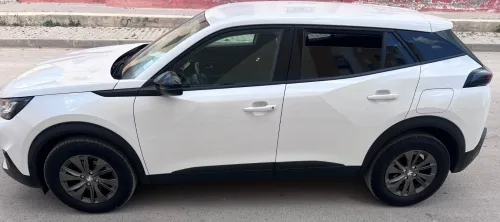 Peugeot 2008 2021 Erg