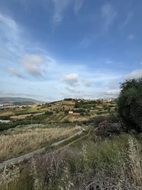 Vente Terrain Boumerdès Larbatache