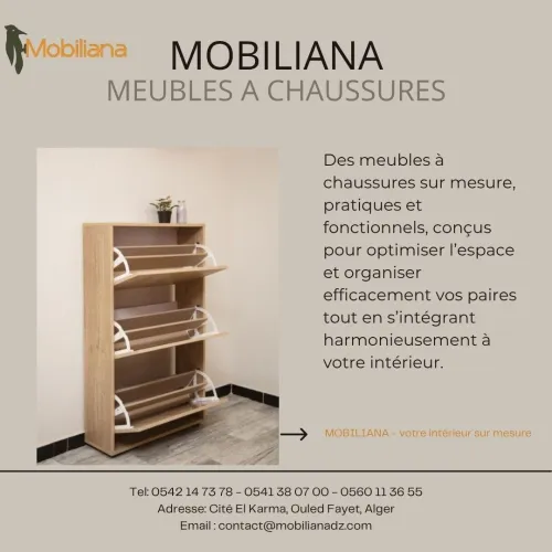 Meuble a chaussures sur mesure - Design moderne et pratique